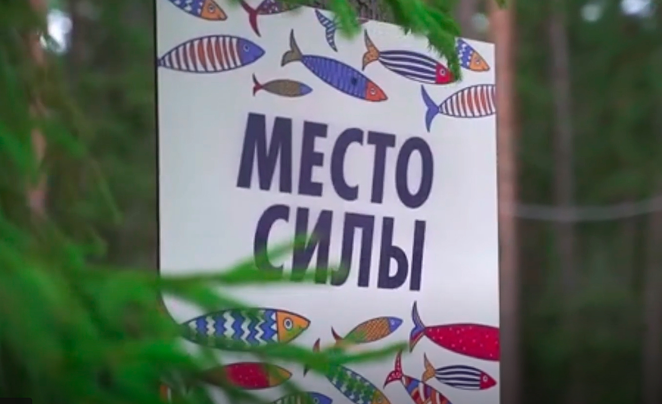 РОССТАТ провел образовательную неделю на Волге!